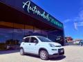 usato FIAT New Panda