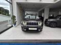 usato JEEP Renegade