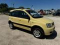 usato FIAT Panda