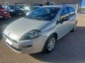 usato FIAT Punto