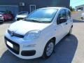 usato FIAT Panda