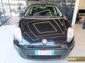 usato FIAT Punto