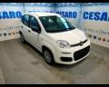 Km 0 FIAT New Panda