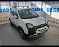 usato FIAT New Panda