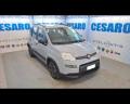 usato FIAT New Panda