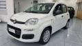 nuovo FIAT Panda