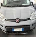 usato FIAT Panda