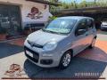 usato FIAT Panda