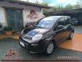 usato FIAT Panda