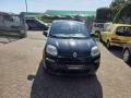 usato FIAT New Panda