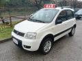 usato FIAT Panda