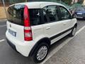 usato FIAT Panda