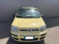 usato FIAT Panda