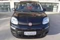 usato FIAT Panda