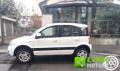 usato FIAT Panda