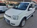 usato FIAT Panda