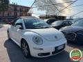 usato VOLKSWAGEN New Beetle