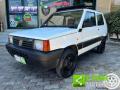 usato FIAT Panda