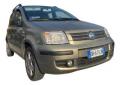 usato FIAT Panda