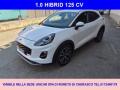usato FORD Puma
