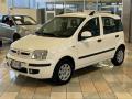 usato FIAT Panda