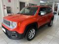usato JEEP Renegade
