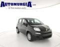 Km 0 FIAT Panda