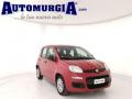 usato FIAT Panda