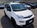 usato FIAT Panda