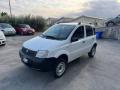 usato FIAT Panda