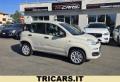 usato FIAT Panda