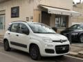 usato FIAT Panda