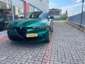usato ALFA ROMEO Tonale